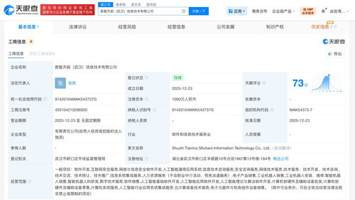 螞蟻數科在武漢成立信息技術公司，深化技術咨詢布局